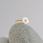 Ring Margueritblomst