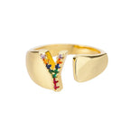 Bred personlig ring med regnbueinitial y