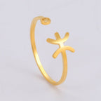 Ring Stjernetegn 12 Konstellationer