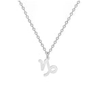 Halskjede med forgylt stjernetegn anheng