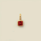 Farvet Zodiac-tegn Vedhæng